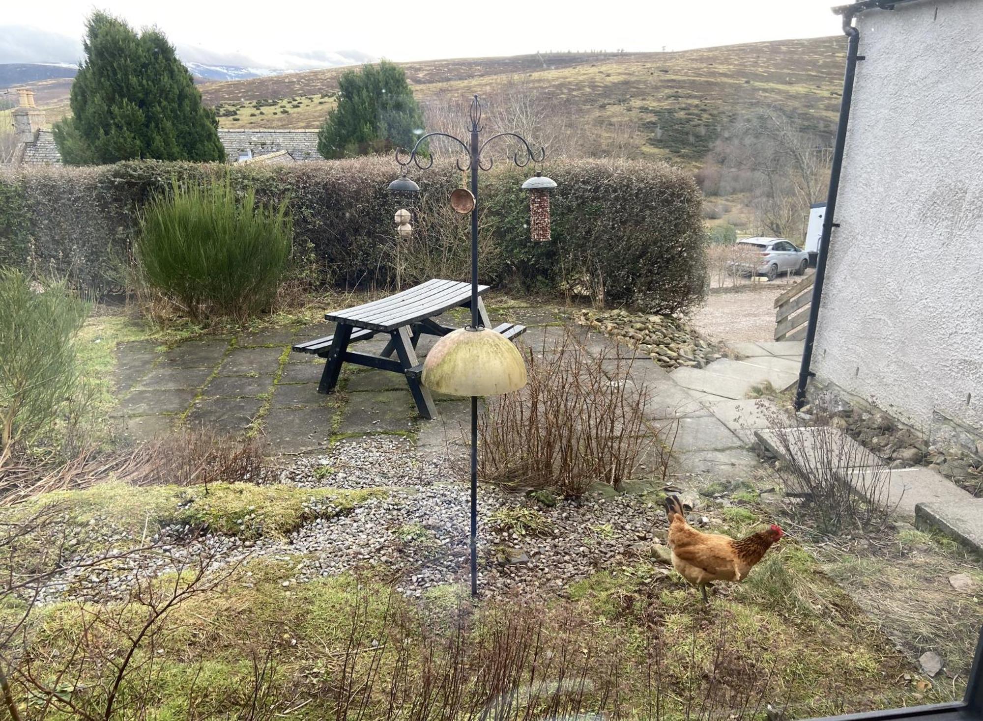 Easter Corrie Cottages Ballindalloch Dış mekan fotoğraf